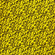 23205/034