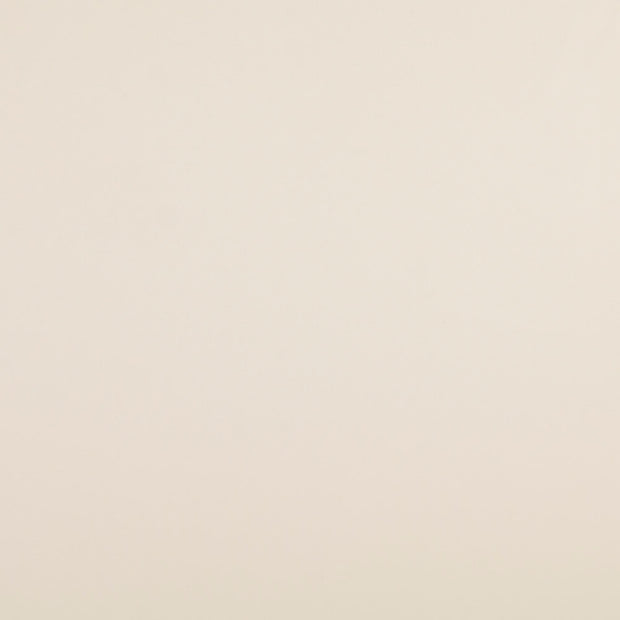 Woven Polyester fabric Nude