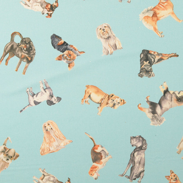 Cretonne fabric Dogs Turquoise