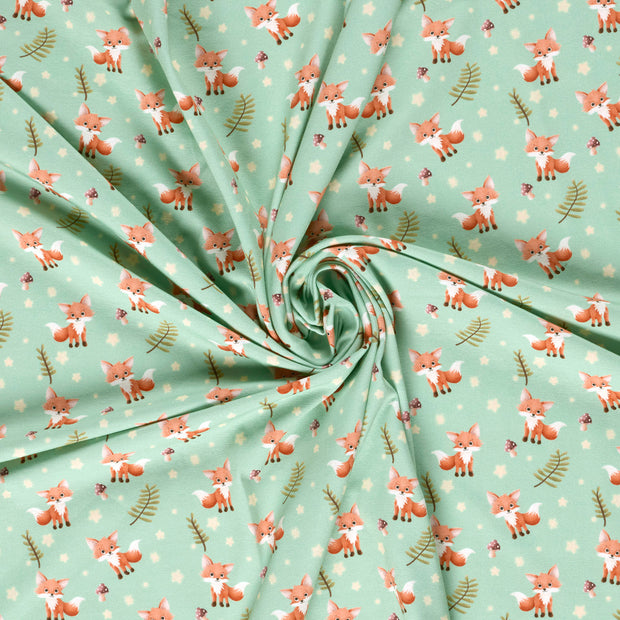 Jersey fabric Mint digital printed 