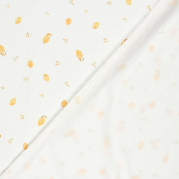 Cotton Jersey GOTS organic fabric Fruits digital printed 