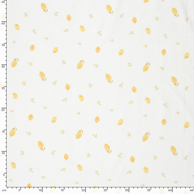 Cotton Jersey GOTS organic fabric Fruits Off White