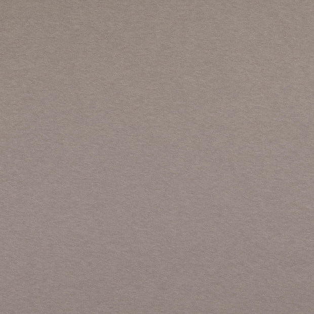 Polaire des Alpes tissu Unicolore Gris
