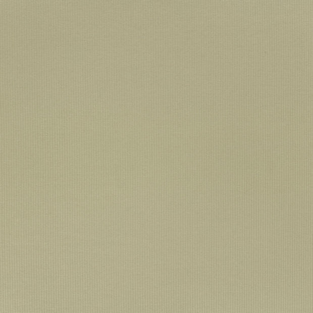 Rib Jersey tissu Vert Olive doux 
