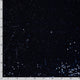 24309/008