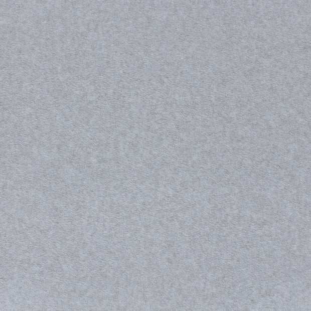 Polar Fleece fabric Light Grey soft 