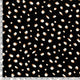23095/069