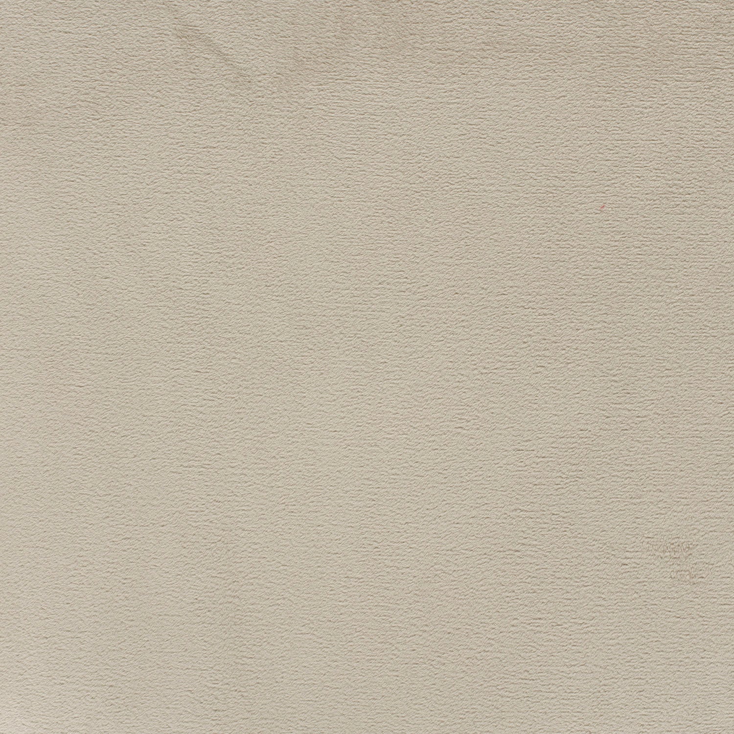 Coral Fleece fabric Unicolour Beige | Wholesale fabrics