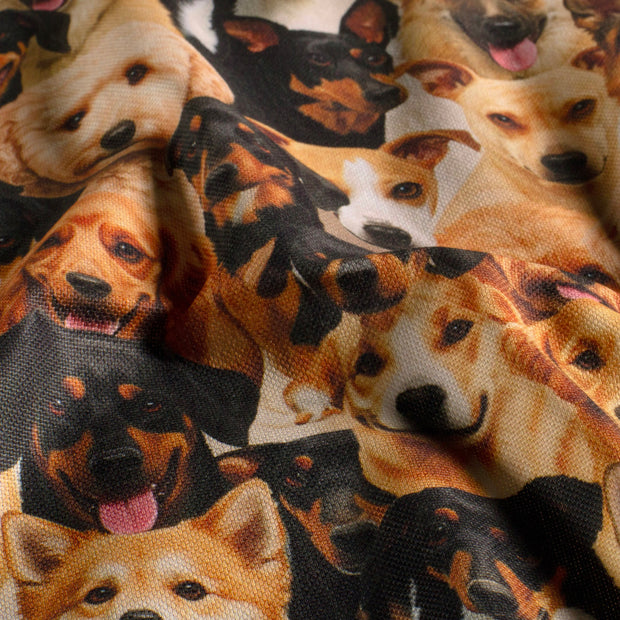 Panama fabric Dogs Camel