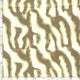 25016/054