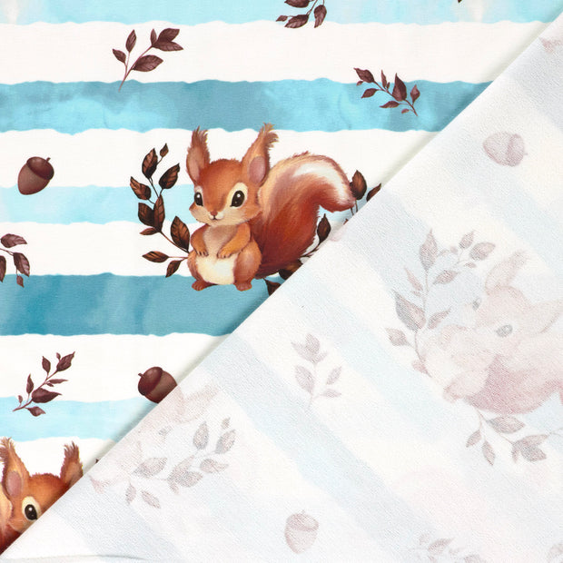 French Terry fabric Squirrel digital printed 