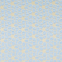 embroidered Flowers Sky Blue
