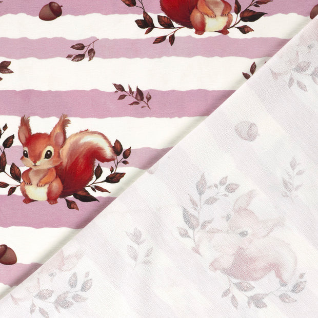 French Terry fabric Squirrel digital printed 