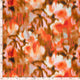 27079/038