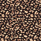 24057/069