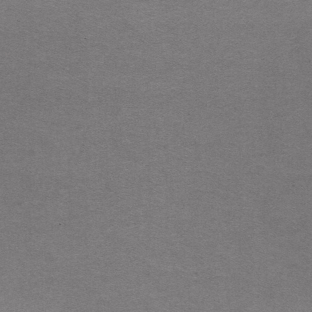 Felt 1.5mm fabric Light Grey matte 