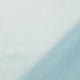 60007/021