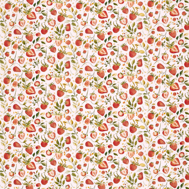 Cotton Poplin fabric  