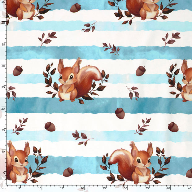 French Terry fabric Squirrel Aqua