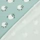 25479/003