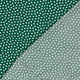 27039/025