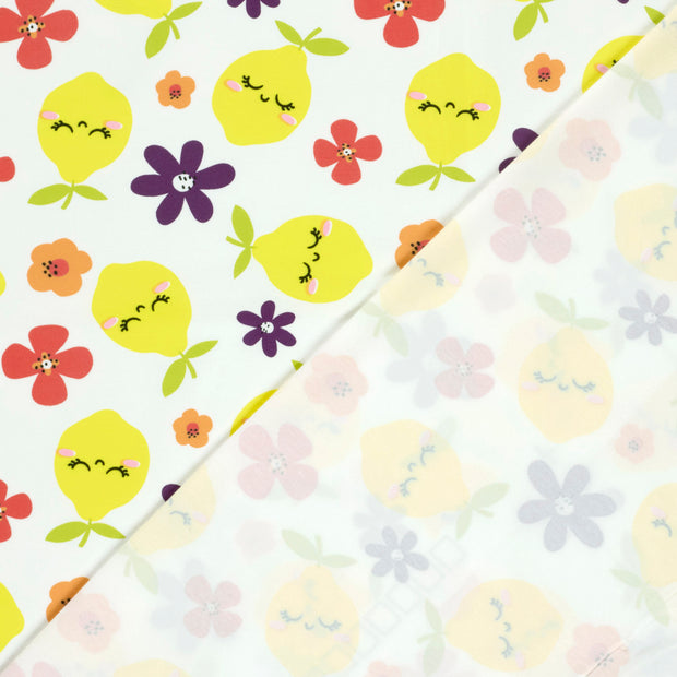 Jersey fabric Fruits printed 