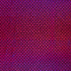 20856/017