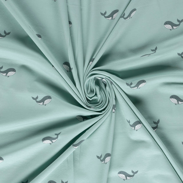 Jersey fabric Baby Blue printed 