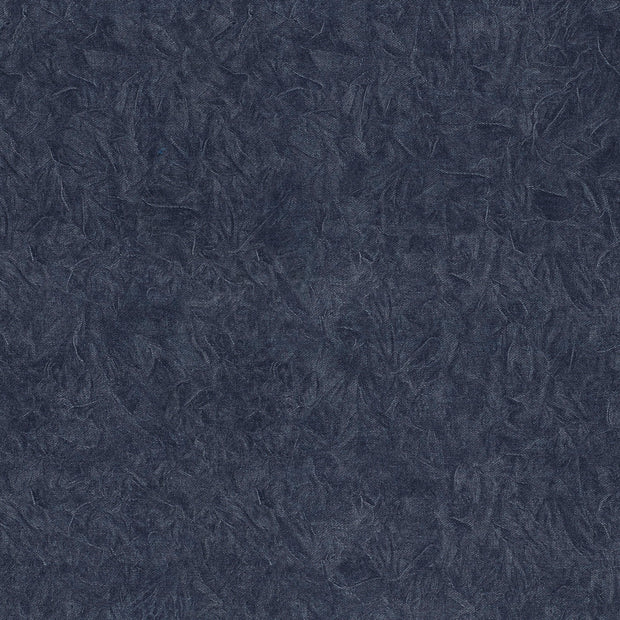 Denim fabric  
