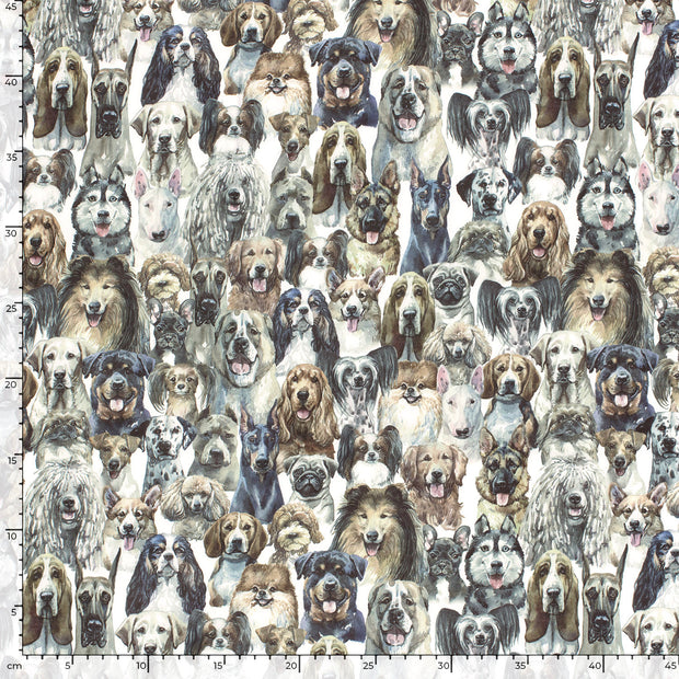 Softshell fabric Dogs digital printed 