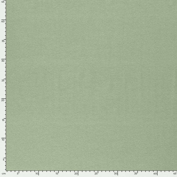 Baumwolle Jersey GOTS fabrik Uni Mint