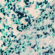 25019/022