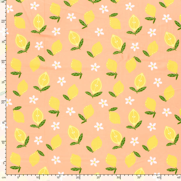 Swimwear Jersey UPF50 Recycled fabric Fruits Salmon