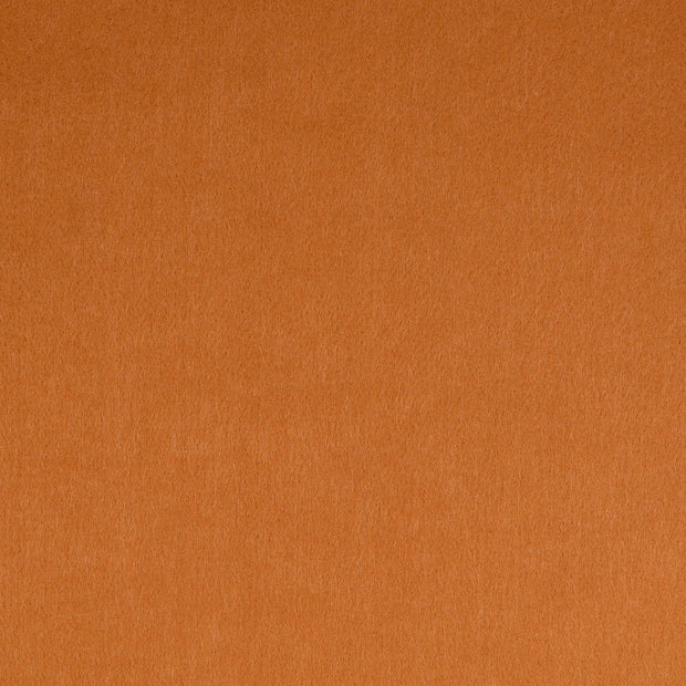 Fieltro tela Unicolor Beis