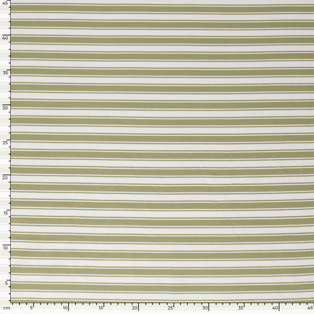 Jersey fabric Stripes Olive Green