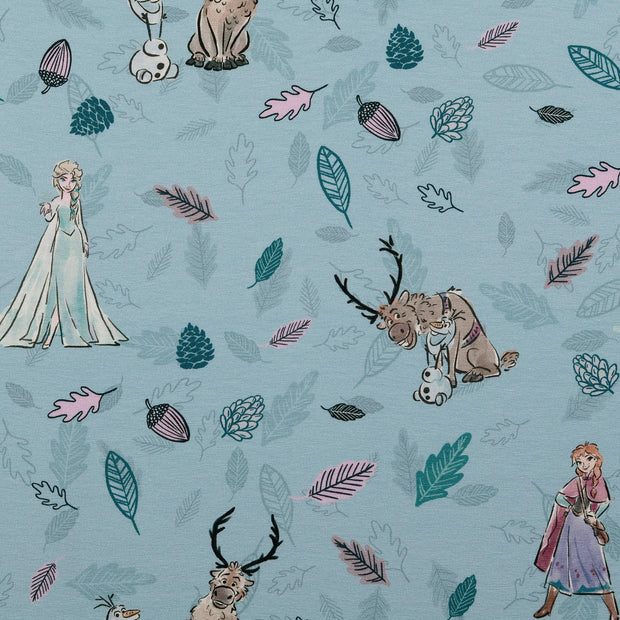 Jersey tissu princesses 