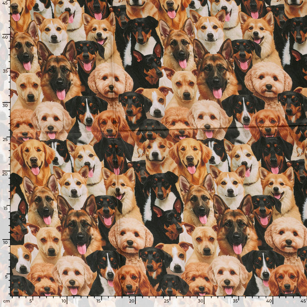 Panama fabric Dogs Camel