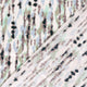 25025/002