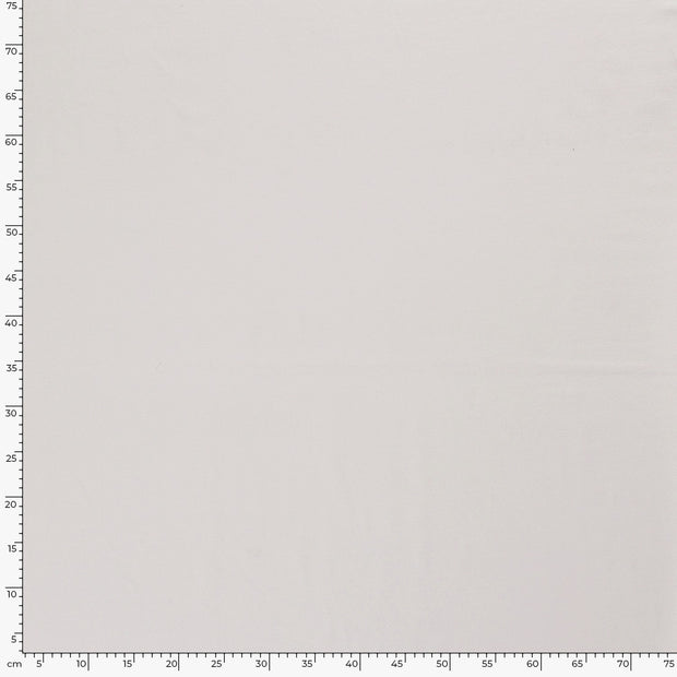 Jersey tissu Unicolore Gris clair