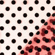 60955/050