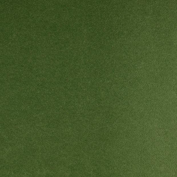 Feutrine tissu Unicolore Pomme verte