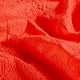 27019/036