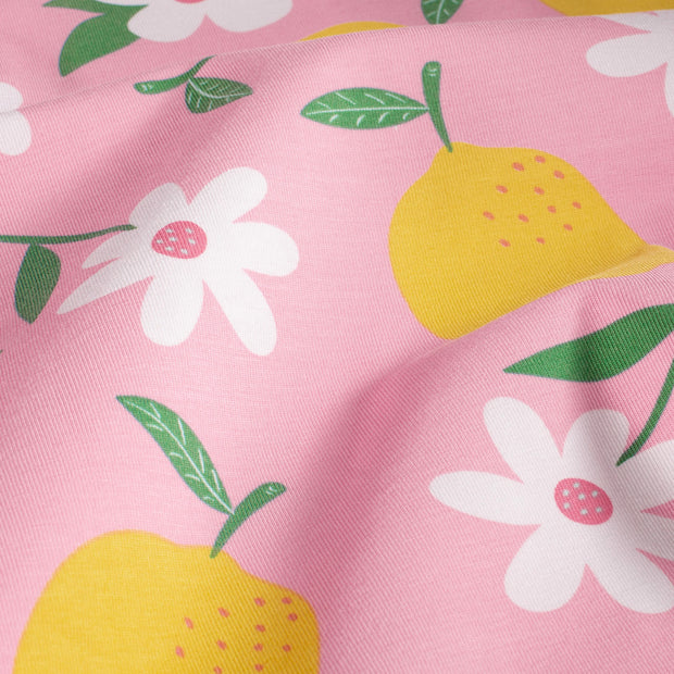Baumwolle Jersey fabrik Obst & Früchte Rosa