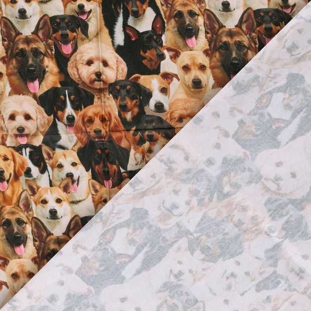 Panama fabric Dogs digital printed 