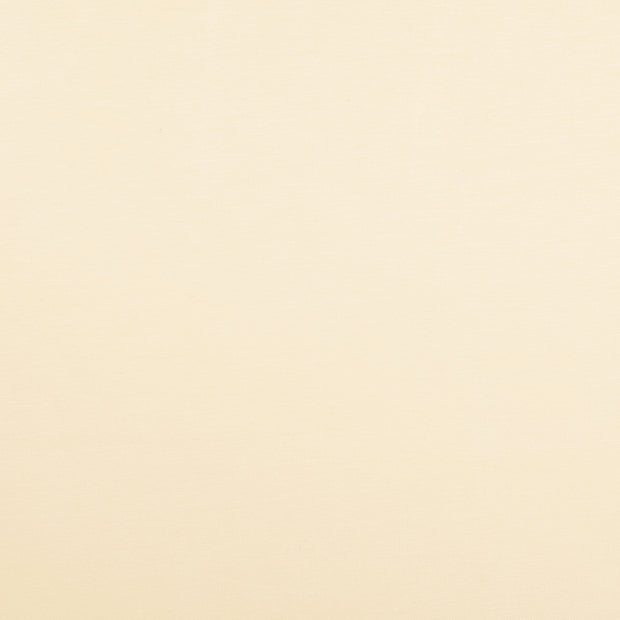 Viscose Jersey fabric Nude