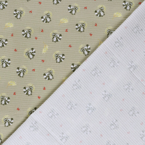 Kimono tissu  