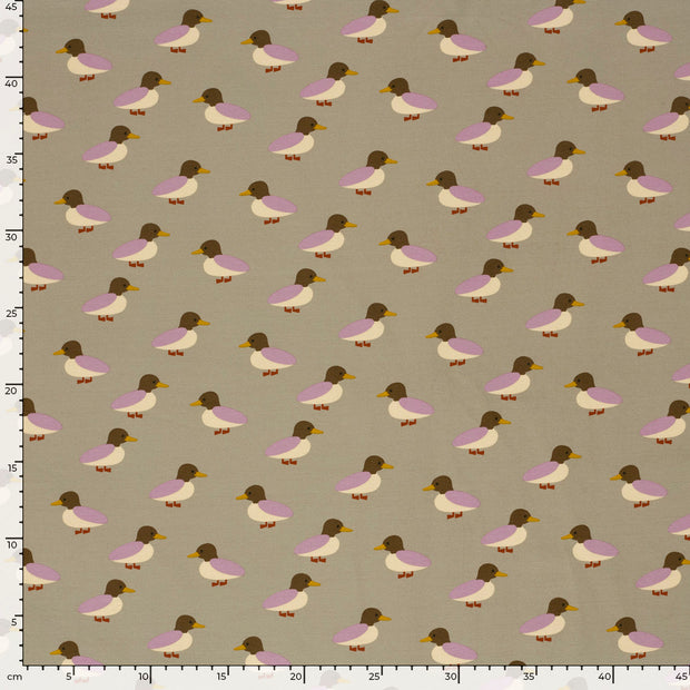  tissu Canard Beige