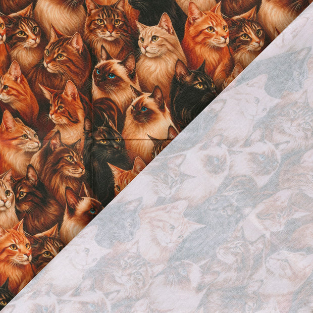 Panama fabric Cats digital printed 