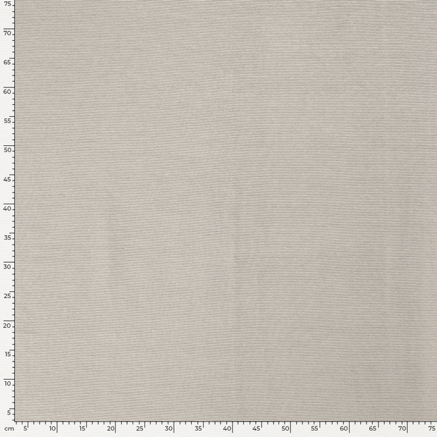 Ottoman jersey tissu Unicolore Gris clair