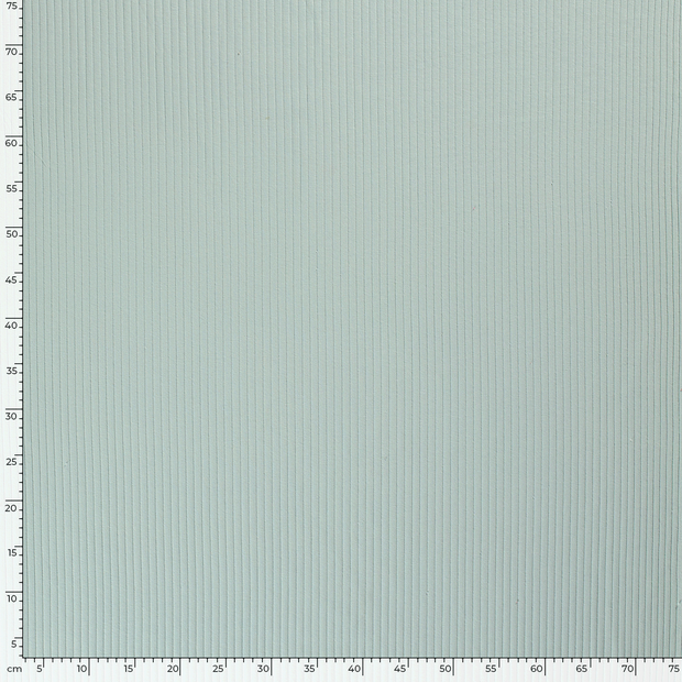 Rib Jersey fabric Unicolour Ice Blue
